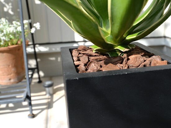 <br><br>������ (�٥ͥ�����)  �֥�å� ���塼�ַ� ƫ��ȭ�ʥС������åס� <br>ȭ���� ȭ �� ���� �� �ͳ� �緿 ���տ�ʪ ����̵�� <br>������ ��奦���ĥ�� ����ե���˥� ε���� ������ ��������
