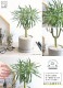 <br><br>��󥭡��ĥ꡼�ʥ��쥤�˥��� ������ ���������� ƫ��ȭ <br>���쥤�˥����ͥꥤ�ե��ꥢ ���ͥ��������쥤�˥� ŷε <br>ƫ��ȭ ȭ���� ȭ �� ���� ���տ�ʪ <br>���� �� ���졼 �ͤ��� �� �饦���
