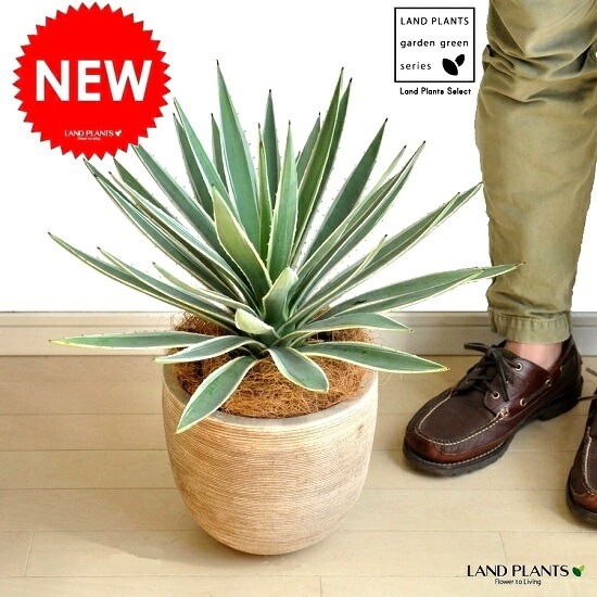 <br><br>�����١����������ϥ����󥳥��� �ǥ�������ɤ� �ƥ饳�å�ȭ�ʥ����ե����С��� <br>ȭ��������奦���ĥ�󡡥�����������ե���˥���ε�����������٥ϥ����󥳥�������糕�������ڡ������������ڥХ륳�˥��� �侩item�ۡ��ݥ���Ⱦò������տ�ʪ