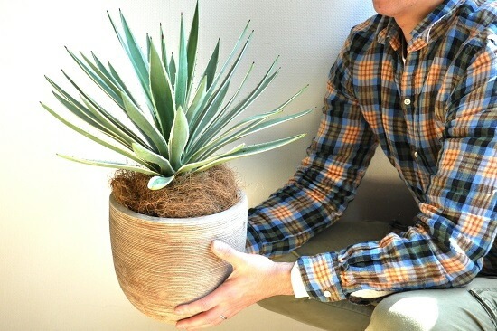 <br><br>�����١����������ϥ����󥳥��� �ǥ�������ɤ� �ƥ饳�å�ȭ�ʥ����ե����С��� <br>ȭ��������奦���ĥ�󡡥�����������ե���˥���ε�����������٥ϥ����󥳥�������糕�������ڡ������������ڥХ륳�˥��� �侩item�ۡ��ݥ���Ⱦò������տ�ʪ