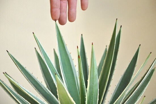 <br><br>�����١����������ϥ����󥳥��� �ǥ�������ɤ� �ƥ饳�å�ȭ�ʥ����ե����С��� <br>ȭ��������奦���ĥ�󡡥�����������ե���˥���ε�����������٥ϥ����󥳥�������糕�������ڡ������������ڥХ륳�˥��� �侩item�ۡ��ݥ���Ⱦò������տ�ʪ