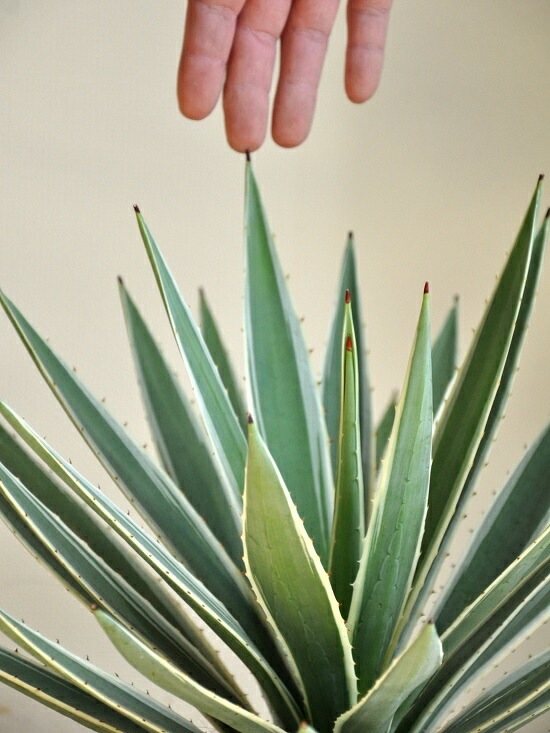 <br><br>�����١����������ϥ����󥳥��� �ǥ�������ɤ� �ƥ饳�å�ȭ�ʥ����ե����С��� <br>ȭ��������奦���ĥ�󡡥�����������ե���˥���ε�����������٥ϥ����󥳥�������糕�������ڡ������������ڥХ륳�˥��� �侩item�ۡ��ݥ���Ⱦò������տ�ʪ