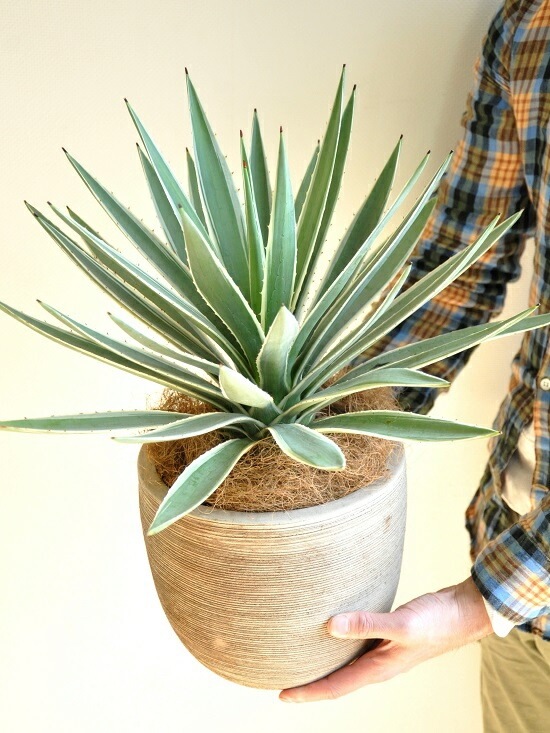 <br><br>�����١����������ϥ����󥳥��� �ǥ�������ɤ� �ƥ饳�å�ȭ�ʥ����ե����С��� <br>ȭ��������奦���ĥ�󡡥�����������ե���˥���ε�����������٥ϥ����󥳥�������糕�������ڡ������������ڥХ륳�˥��� �侩item�ۡ��ݥ���Ⱦò������տ�ʪ