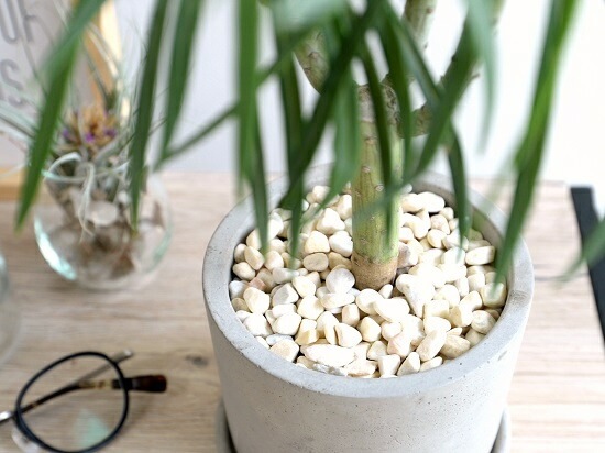 <br><br>��󥭡��ĥ꡼ ������ ���������� ƫ��ȭ <br>���쥤�˥����ͥꥤ�ե��ꥢ ���ͥ��������쥤�˥� ŷε <br>ƫ��ȭ ȭ���� ȭ �� ���� ���տ�ʪ <br>���� �� ���졼 �ͤ��� �� �饦���