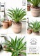 <br><br>�����١ʥ٥ͥ������ �ǥ�������ɤ� �ƥ饳�å�ȭ ���ʡʥС������åס� <br>ȭ���� ȭ �� �֥饦�� �١����� ���� �緿 ���տ�ʪ ����̵�� <br>������ ��奦���ĥ�� ����ե���˥� ε���� ������ �������� �����٥٥ͥ�����