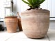 <br><br>�����١ʥ٥ͥ������ �ǥ�������ɤ� �ƥ饳�å�ȭ ���ʡʥС������åס� <br>ȭ���� ȭ �� �֥饦�� �١����� ���� �緿 ���տ�ʪ ����̵�� <br>������ ��奦���ĥ�� ����ե���˥� ε���� ������ �������� �����٥٥ͥ�����