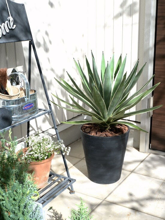 <br><br>�����١����������ϥ����󥳥��� ���� ���饢����ȭ 8��ʥС������åס� <br>ȭ���� ȭ �� �֥�å� �緿 ���տ�ʪ ����̵�� <br>������ ��奦���ĥ�� ����ե���˥� ε���� ������ �������� �����٥ϥ����󥳥�