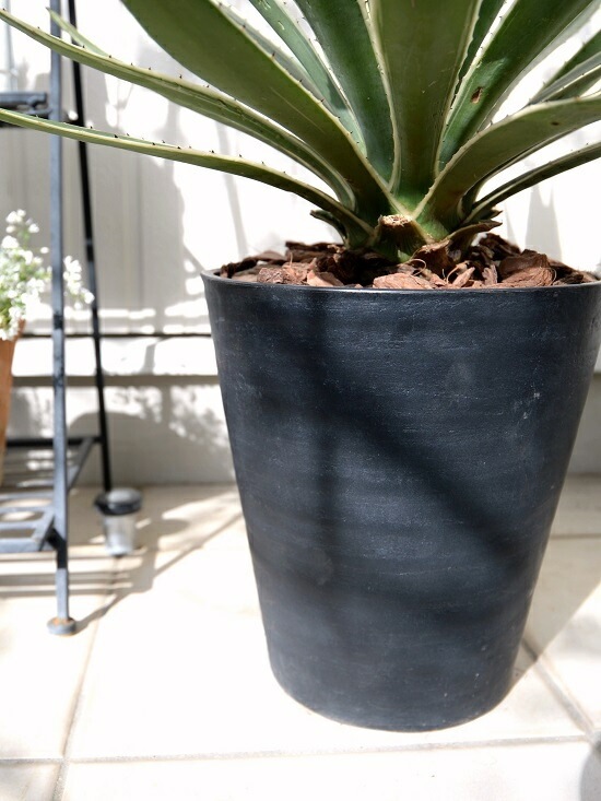 <br><br>�����١����������ϥ����󥳥��� ���� ���饢����ȭ 8��ʥС������åס� <br>ȭ���� ȭ �� �֥�å� �緿 ���տ�ʪ ����̵�� <br>������ ��奦���ĥ�� ����ե���˥� ε���� ������ �������� �����٥ϥ����󥳥�