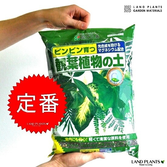 <br><br>���տ�ʪ���� 5L ���Ԥ��ʤ������Ԥ����ʤ����ԥ�ԥ���  �������ڥ��꡼��������٥顼����������ޥ롡��Ϸ�������ݥ���Ⱦò������տ�ʪ