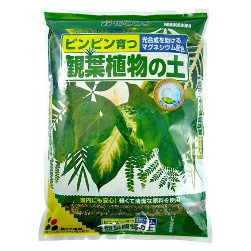 <br><br>���տ�ʪ���� 5L ���Ԥ��ʤ������Ԥ����ʤ����ԥ�ԥ���  �������ڥ��꡼��������٥顼����������ޥ롡��Ϸ�������ݥ���Ⱦò������տ�ʪ