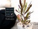 <br>�ɥɥʥ��� �� �⥹�ݥå� ���������� ƫ��ȭ��ŷ�����С�<br>�ץ�ץ쥢 �������ȥ�ꥢ�ץ��� ���������ץ��� <br>���ռ� ȭ���� ȭ �Ǿ� �ƥ饳�å� <br>�� �ۥ磻�� �� �ݷ� <br>���տ�ʪ ��ʪ ����̵��