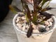 <br>�ɥɥʥ��� �� �⥹�ݥå� ���������� ƫ��ȭ��ŷ�����С�<br>�ץ�ץ쥢 �������ȥ�ꥢ�ץ��� ���������ץ��� <br>���ռ� ȭ���� ȭ �Ǿ� �ƥ饳�å� <br>�� �ۥ磻�� �� �ݷ� <br>���տ�ʪ ��ʪ ����̵��
