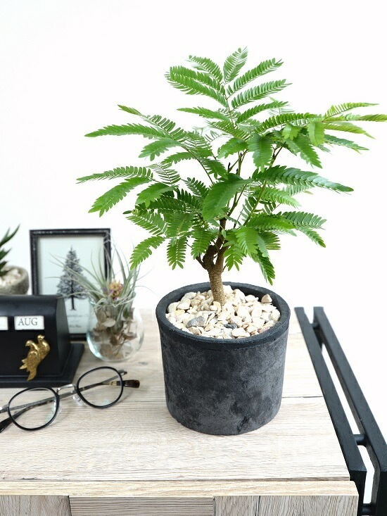 ���С��ե�å��� �ʹ����˥⥹�ݥå� ���������� �ƥ饳�å�ȭ <br>ȭ���� ȭ �� ���� ���տ�ʪ ����̵�� <br>��ȭ ȭ���� ƫ�� �Ǿ� �� �֥�å� ���� �� ���졼