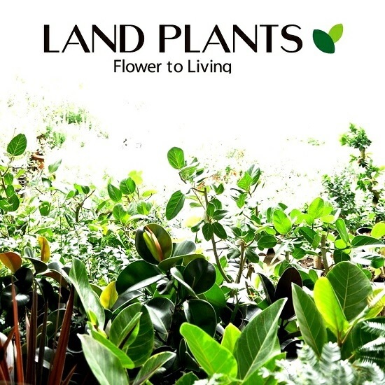 ���С��ե�å��� �ʹ����˥⥹�ݥå� ���������� �ƥ饳�å�ȭ <br>ȭ���� ȭ �� ���� ���տ�ʪ ����̵�� <br>��ȭ ȭ���� ƫ�� �Ǿ� �� �֥�å� ���� �� ���졼