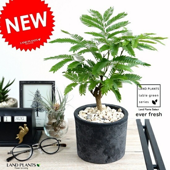 ���С��ե�å��� �ʹ����˥⥹�ݥå� ���������� �ƥ饳�å�ȭ <br>ȭ���� ȭ �� ���� ���տ�ʪ ����̵�� <br>��ȭ ȭ���� ƫ�� �Ǿ� �� �֥�å� ���� �� ���졼