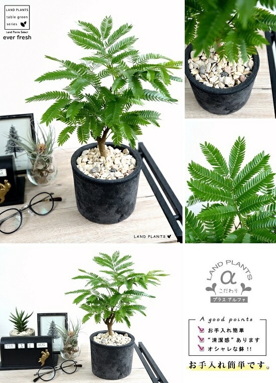 ���С��ե�å��� �ʹ����˥⥹�ݥå� ���������� �ƥ饳�å�ȭ <br>ȭ���� ȭ �� ���� ���տ�ʪ ����̵�� <br>��ȭ ȭ���� ƫ�� �Ǿ� �� �֥�å� ���� �� ���졼