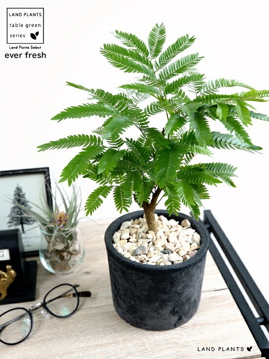 ���С��ե�å��� �ʹ����˥⥹�ݥå� ���������� �ƥ饳�å�ȭ <br>ȭ���� ȭ �� ���� ���տ�ʪ ����̵�� <br>��ȭ ȭ���� ƫ�� �Ǿ� �� �֥�å� ���� �� ���졼