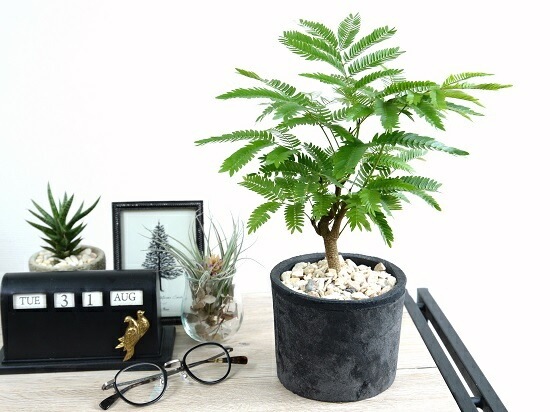 ���С��ե�å��� �ʹ����˥⥹�ݥå� ���������� �ƥ饳�å�ȭ <br>ȭ���� ȭ �� ���� ���տ�ʪ ����̵�� <br>��ȭ ȭ���� ƫ�� �Ǿ� �� �֥�å� ���� �� ���졼