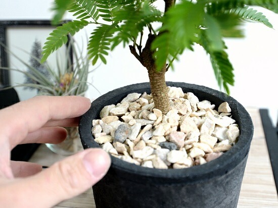 ���С��ե�å��� �ʹ����˥⥹�ݥå� ���������� �ƥ饳�å�ȭ <br>ȭ���� ȭ �� ���� ���տ�ʪ ����̵�� <br>��ȭ ȭ���� ƫ�� �Ǿ� �� �֥�å� ���� �� ���졼