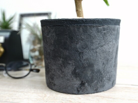 ���С��ե�å��� �ʹ����˥⥹�ݥå� ���������� �ƥ饳�å�ȭ <br>ȭ���� ȭ �� ���� ���տ�ʪ ����̵�� <br>��ȭ ȭ���� ƫ�� �Ǿ� �� �֥�å� ���� �� ���졼