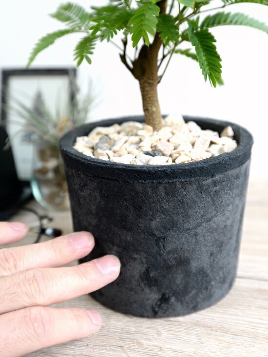 ���С��ե�å��� �ʹ����˥⥹�ݥå� ���������� �ƥ饳�å�ȭ <br>ȭ���� ȭ �� ���� ���տ�ʪ ����̵�� <br>��ȭ ȭ���� ƫ�� �Ǿ� �� �֥�å� ���� �� ���졼