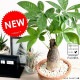 <br><br>�ѥ���ʴ����� �⥹�ݥå� ���������� ���㿧�� �ƥ饳�å� <br>�����ѥ��� �������ƥ��� ȯ��� ������� ��������߽Ф��� <br>ȭ���� ȭ �� ���� ���տ�ʪ �� �֥饦�� �� �饦��� <br>ƫ�� ƫ��ȭ �Ǿ� �Ǿ�ȭ ����̵��