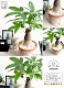 <br><br>�ѥ���ʴ����� �⥹�ݥå� ���������� ���㿧�� �ƥ饳�å� <br>�����ѥ��� �������ƥ��� ȯ��� ������� ��������߽Ф��� <br>ȭ���� ȭ �� ���� ���տ�ʪ �� �֥饦�� �� �饦��� <br>ƫ�� ƫ��ȭ �Ǿ� �Ǿ�ȭ ����̵��