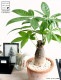 <br><br>�ѥ���ʴ����� �⥹�ݥå� ���������� ���㿧�� �ƥ饳�å� <br>�����ѥ��� �������ƥ��� ȯ��� ������� ��������߽Ф��� <br>ȭ���� ȭ �� ���� ���տ�ʪ �� �֥饦�� �� �饦��� <br>ƫ�� ƫ��ȭ �Ǿ� �Ǿ�ȭ ����̵��