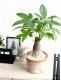 <br><br>�ѥ���ʴ����� �⥹�ݥå� ���������� ���㿧�� �ƥ饳�å� <br>�����ѥ��� �������ƥ��� ȯ��� ������� ��������߽Ф��� <br>ȭ���� ȭ �� ���� ���տ�ʪ �� �֥饦�� �� �饦��� <br>ƫ�� ƫ��ȭ �Ǿ� �Ǿ�ȭ ����̵��