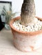 <br><br>�ѥ���ʴ����� �⥹�ݥå� ���������� ���㿧�� �ƥ饳�å� <br>�����ѥ��� �������ƥ��� ȯ��� ������� ��������߽Ф��� <br>ȭ���� ȭ �� ���� ���տ�ʪ �� �֥饦�� �� �饦��� <br>ƫ�� ƫ��ȭ �Ǿ� �Ǿ�ȭ ����̵��