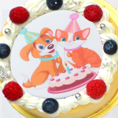 《キャラクタープリントケーキ》ベイクドチーズケーキ