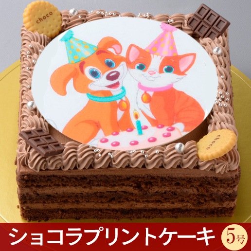 チーズケーキ｜写真ケーキのシェリーブラン