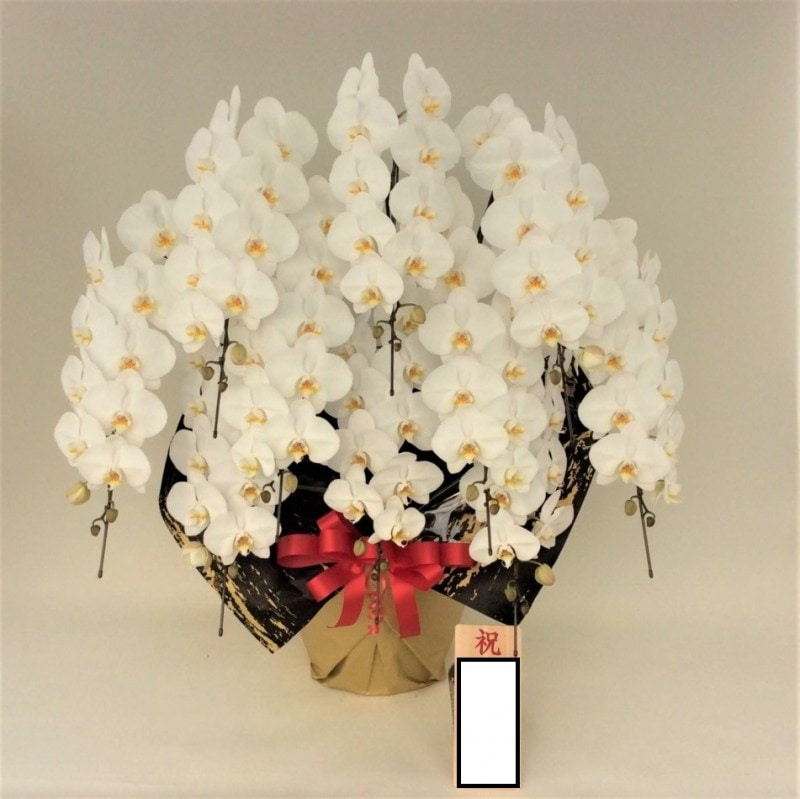 ���ظ�ĳ�� ������Ω��L���������򣹣�������