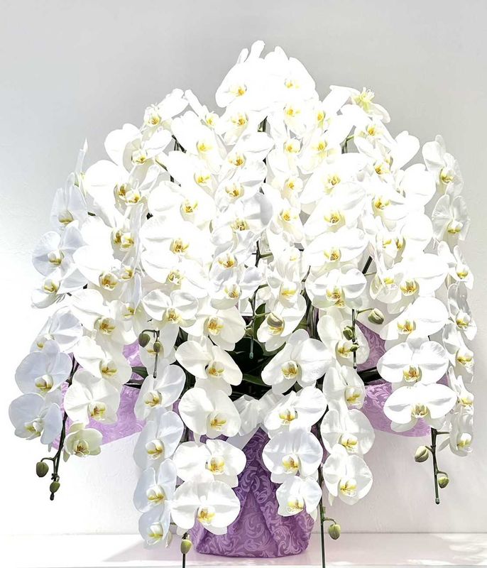 ���ظ�ĳ�� ����Ω��L���������򣱣���������