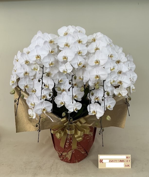 ���ظ�ĳ�� ����Ω��L���������򣹣�������