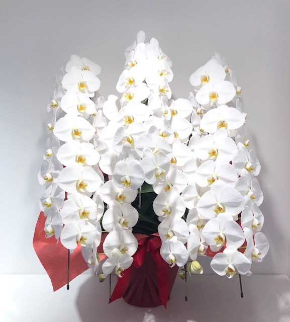 ���ظ�ĳ�� ����Ω��L���������򣷣�������