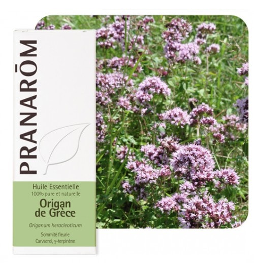 【プラナロム】　オレガノ・ギリシャ 精油（エッセンシャルオイル）　Origanium Heracleoticum　10ml - PRANAROM