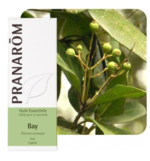 【プラナロム】　ベイリーフ　精油（エッセンシャルオイル）　Pimenta racemosa 10ml Bay St Thomas -PRANAROM