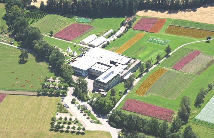 有機イチョウ　（ギンコ　ビローバ）　ティンクチャー　＜記憶力と血行促進に＞ Ginkgo biloba　　50ml 【バイオフォース】