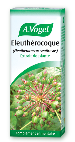 有機エゾウコギ（シベリア人参）　ティンクチャー　＜免疫システムサポート、血圧・血糖値調整、健康的な精神に＞ Eleutherococcus senticosus　　50ml 【バイオフォース】