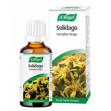 有機セイタカアワダチソウ　ティンクチャー＜膀胱炎、泌尿器科系の問題に＞　Solidago virgaurea　　　50ml 【バイオフォース】