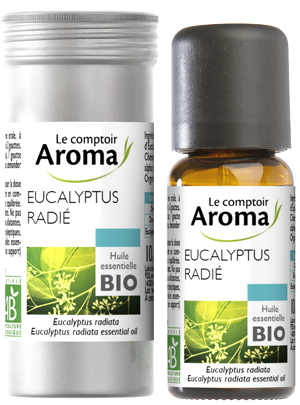【ルコントワール　アロマ le Comptoir Aroma】　ユーカリ・ラディアータ 　精油　【有機】 BIO　10ml　Eucalyptus radiata ssp Radiata