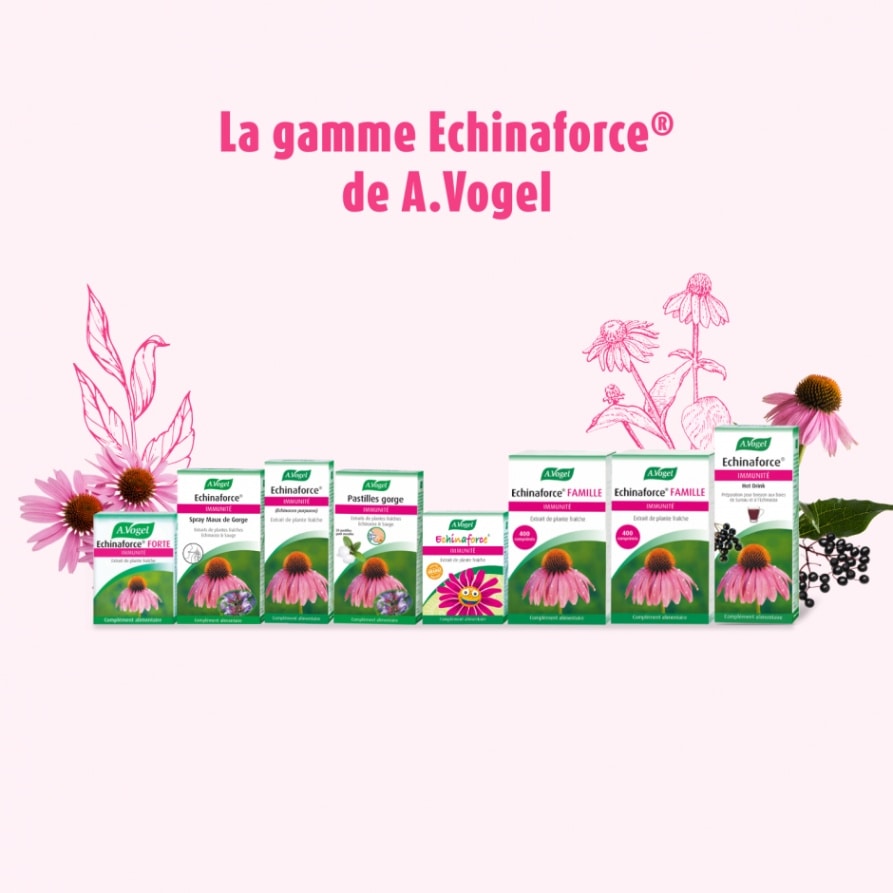 有機エキナセア　《風邪、インフルエンザ、免疫アップに》 ティンクチャ―　（タンチュメール）　Echinacea purpurea　【50ml, 100mlサイズ】【A.VOGEL - Echinaforce Extrait de Plante Fraiche】