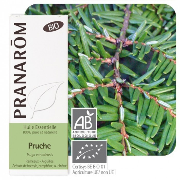 【プラナロム】　ツガ　（カナディアンヘムロック）精油　（エッセンシャルオイル）【有機】 BIO　Tsuga Canadensis (Pruche)  5ml - PRANAROM
