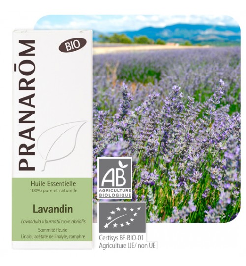 【プラナロム】　ラベンダー・アブリアリス　（ラバンジン）　精油（エッセンシャルオイル） Lavandula hybrida   【有機】 BIO　10ml