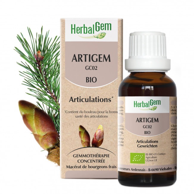【HerbalGem ハーバルジェム】 アルティジェム Artigem (関節の痛みの緩和・柔軟性の向上に ) BIOオーガニック ジェモセラピー 15ml