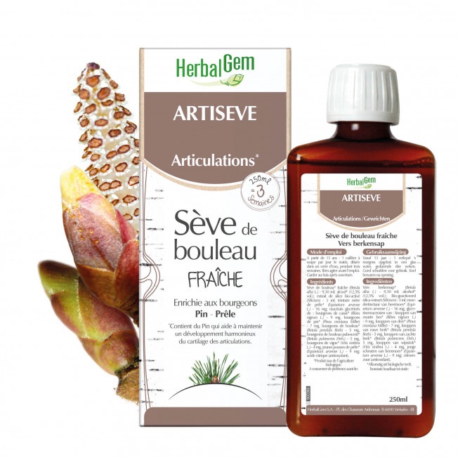 【HerbalGem ハーバルジェム】 ARTISEVE アルティセーブ オーガニック (関節トラブルと柔軟性の強化に) 白樺&カシスの新芽濃縮エキス 250ml