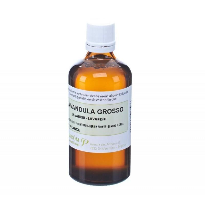 ラベンダー・グロッソ Lavandula x burnatii clone grosso  ＜お得な100ml＞