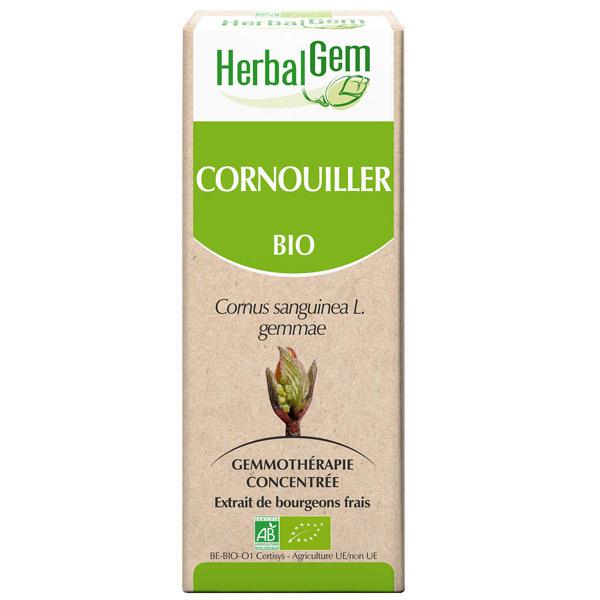 【HerbalGem ハーバルジェム】　西洋ミズキ　/　ハナミズキ　Cornouiller　(Cornus sanguinea gemmae.) 　ジェモセラピー　（オーガニック）　☆骨、骨髄の炎症、循環サポート、抗血栓に☆　【新サイズ30ml】