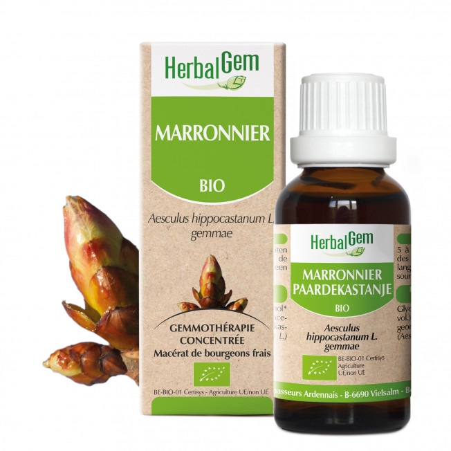 【HerbalGem ハーバルジェム】 セイヨウトチノキ / マロニエ Marronnier (Aesculus hippocastanum gemmae) ジェモセラピー (オーガニック) ☆痔、顔の皮膚トラブル、循環サポートに☆ 50ml